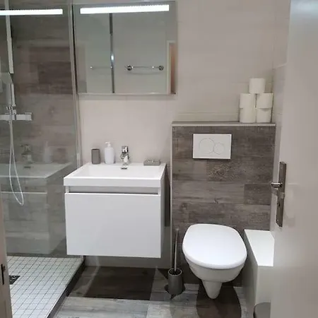 Apartment Executive Near Basel