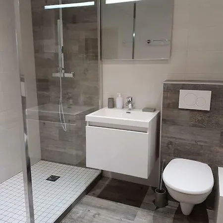 Executive Near Basel アパート